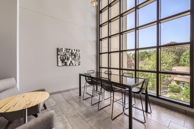 820 Emerald St Unit 402, Saint Paul, MN 55114 - dining space featuring a high ceiling
