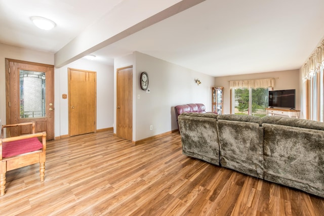 living room with baseboards and light wood-style floors