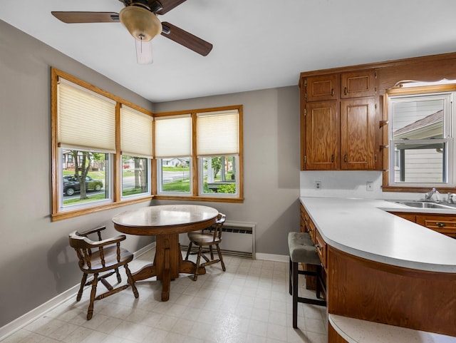 517 Olive St S, Waconia, MN 55387 - dining room with radiator heating unit, ceiling fan, and light floors