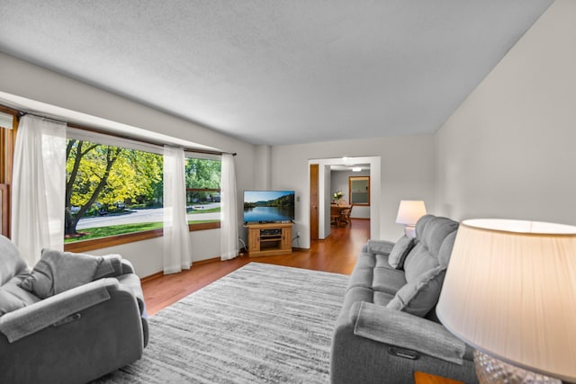 living area featuring wood finished floors