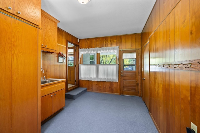 doorway featuring a sink, carpet, and wood walls