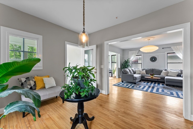 3100 29th Ave S, Minneapolis, MN 55406 - living room featuring hardwood / wood-style floors