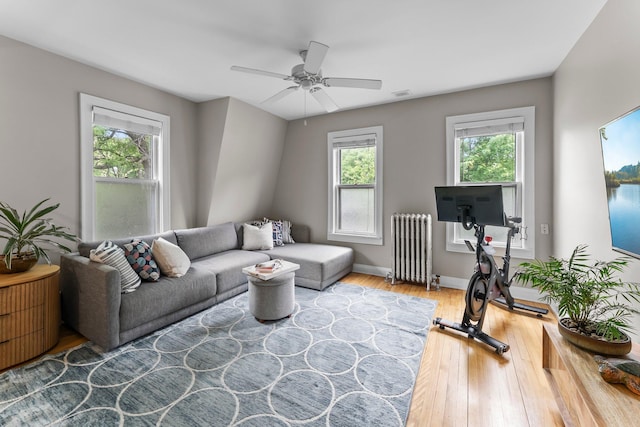 3100 29th Ave S, Minneapolis, MN 55406 - living room featuring radiator, hardwood / wood-style flooring, ceiling fan, and baseboards