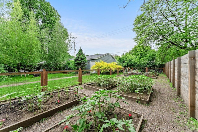 3100 29th Ave S, Minneapolis, MN 55406 - view of yard with a vegetable garden