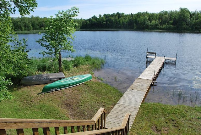 499 Tamarack Ct NE, Tenstrike, MN 56683 - dock area with a water view and a view of trees