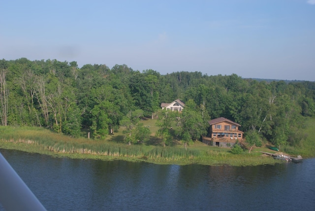 499 Tamarack Ct NE, Tenstrike, MN 56683 - water view with a heavily wooded area