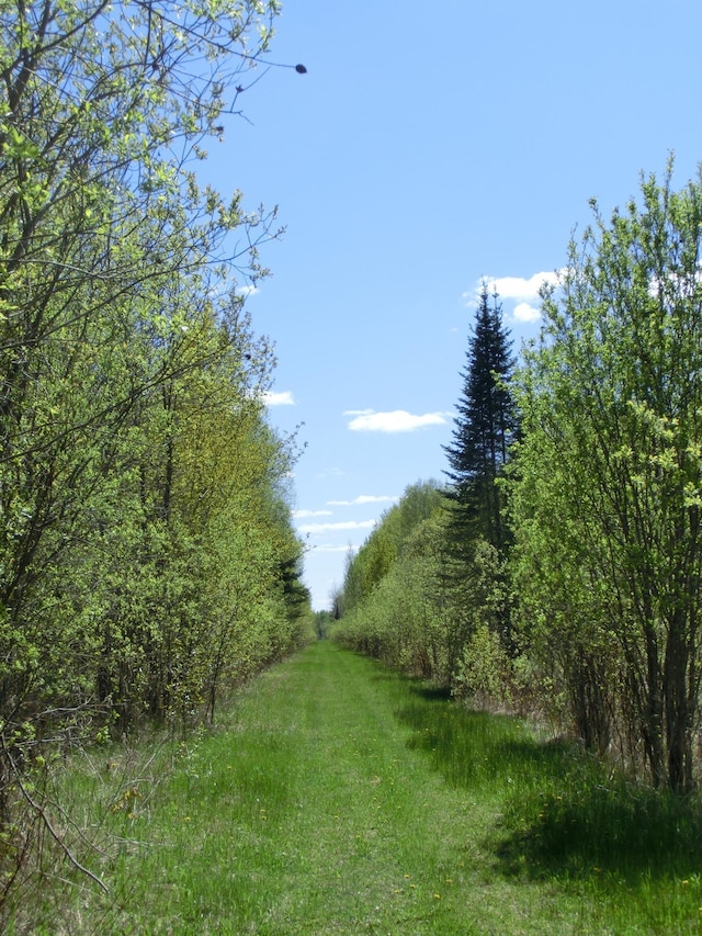 499 Tamarack Ct NE, Tenstrike, MN 56683 - view of undeveloped land