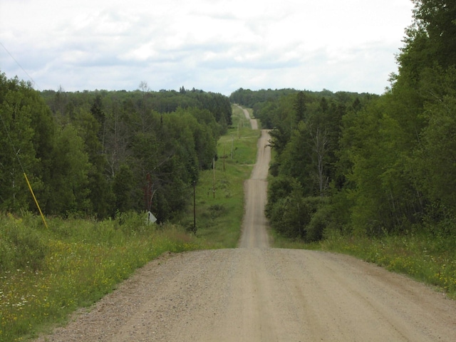 499 Tamarack Ct NE, Tenstrike, MN 56683 - view of dirt / gravel road featuring a view of trees