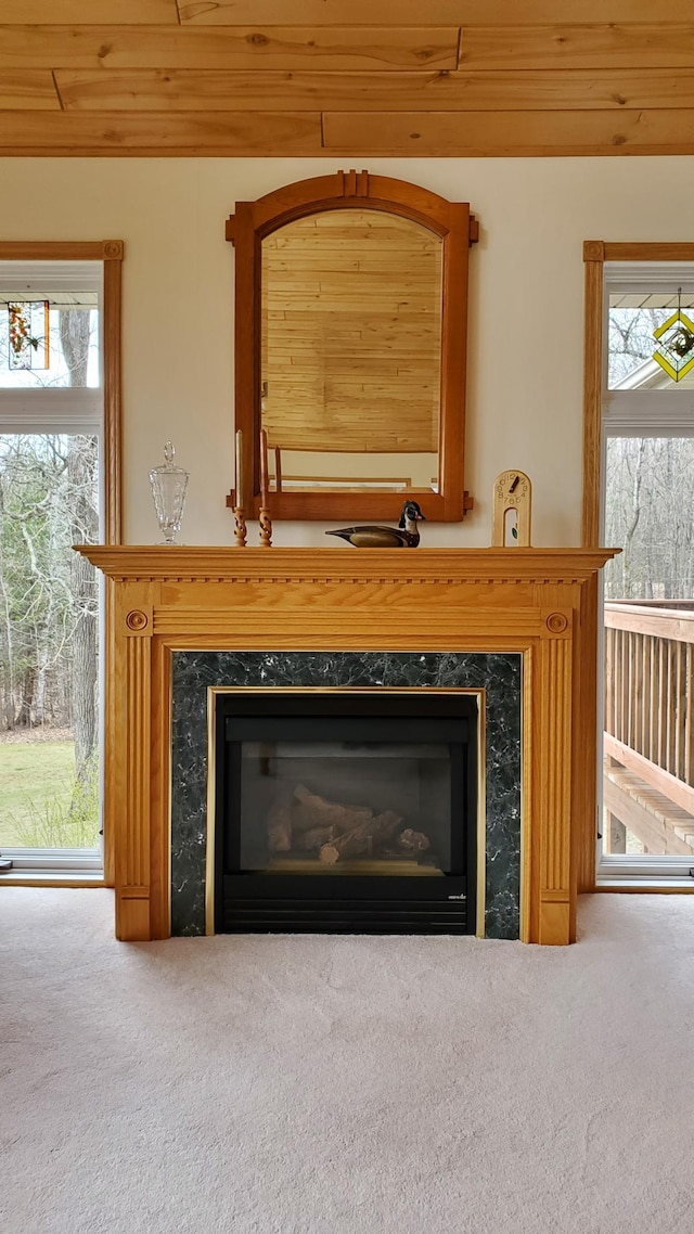 499 Tamarack Ct NE, Tenstrike, MN 56683 - detailed view of carpet floors and a premium fireplace