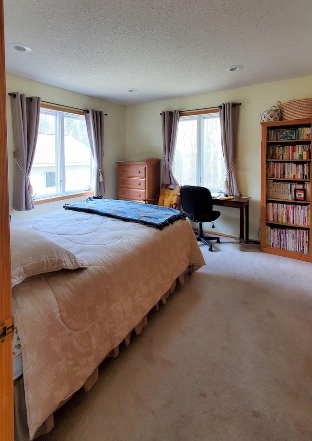 499 Tamarack Ct NE, Tenstrike, MN 56683 - bedroom with a textured ceiling, multiple windows, and carpet
