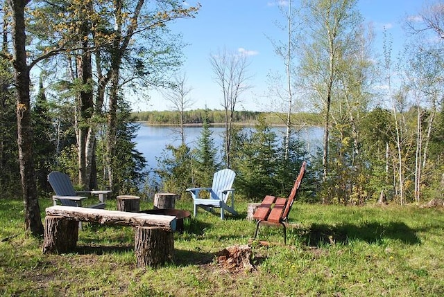 499 Tamarack Ct NE, Tenstrike, MN 56683 - view of yard with a water view