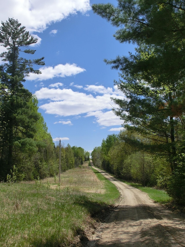 499 Tamarack Ct NE, Tenstrike, MN 56683 - view of dirt / gravel road featuring a wooded view