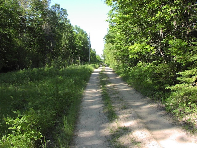 499 Tamarack Ct NE, Tenstrike, MN 56683 - view of street