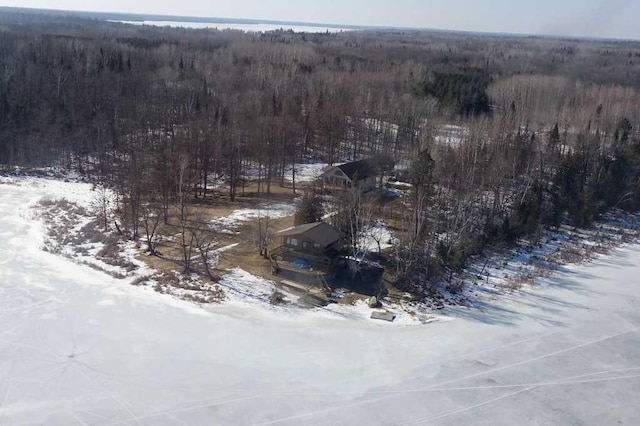 499 Tamarack Ct NE, Tenstrike, MN 56683 - snowy aerial view with a forest view