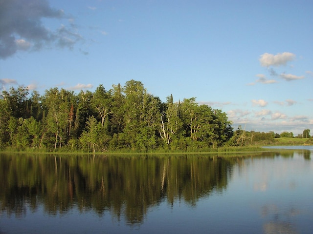 499 Tamarack Ct NE, Tenstrike, MN 56683 - water view with a forest