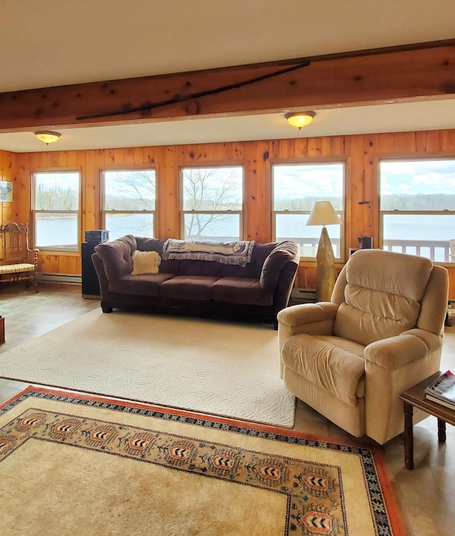 499 Tamarack Ct NE, Tenstrike, MN 56683 - living area featuring beam ceiling, wooden walls, and baseboard heating