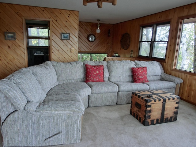 499 Tamarack Ct NE, Tenstrike, MN 56683 - living area featuring wooden walls and carpet floors