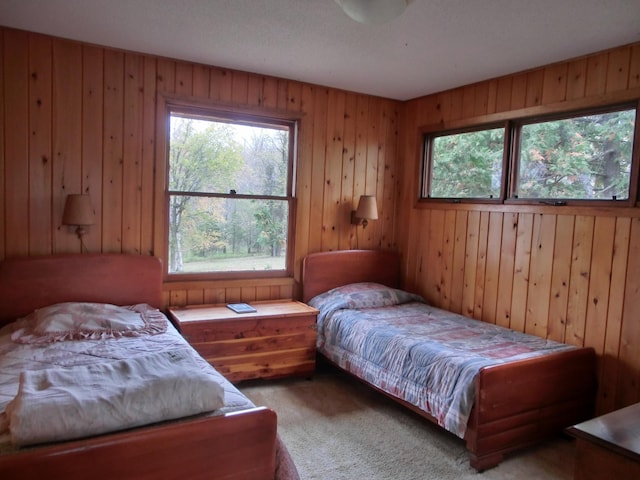 499 Tamarack Ct NE, Tenstrike, MN 56683 - carpeted bedroom with wooden walls