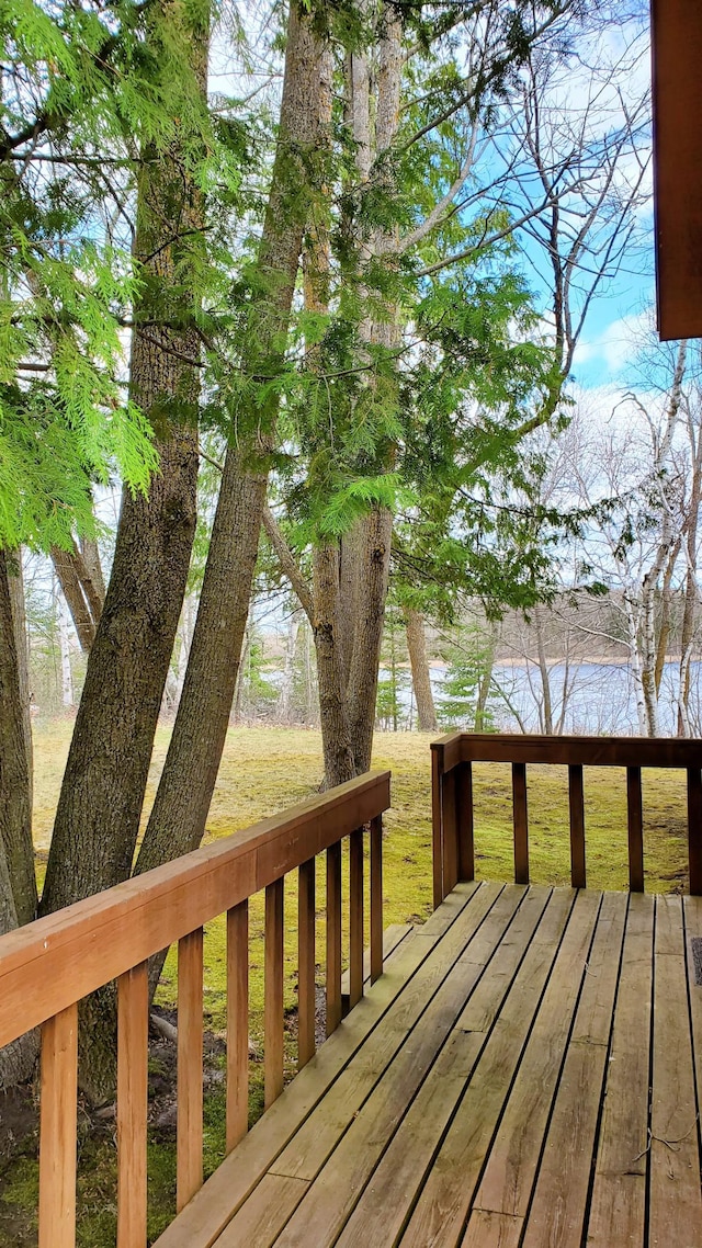 499 Tamarack Ct NE, Tenstrike, MN 56683 - wooden terrace featuring a lawn