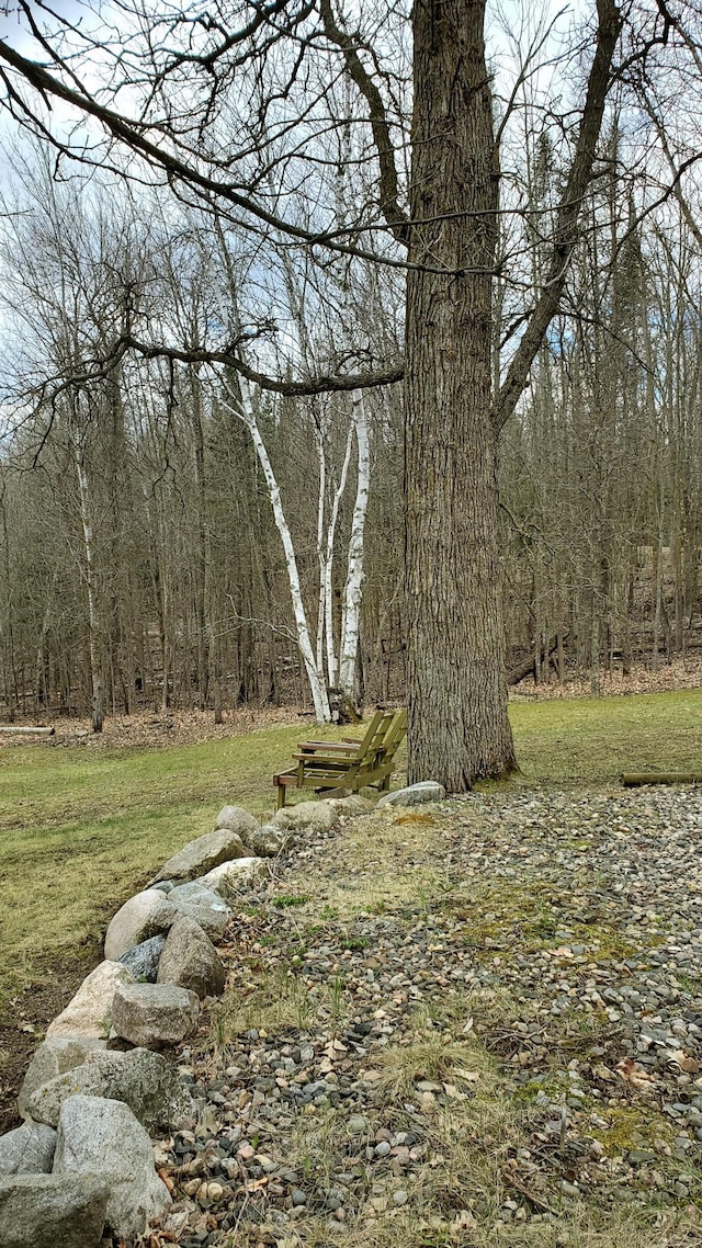 499 Tamarack Ct NE, Tenstrike, MN 56683 - view of woods