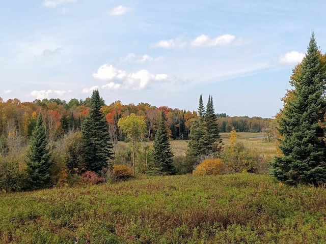 499 Tamarack Ct NE, Tenstrike, MN 56683 - view of woods