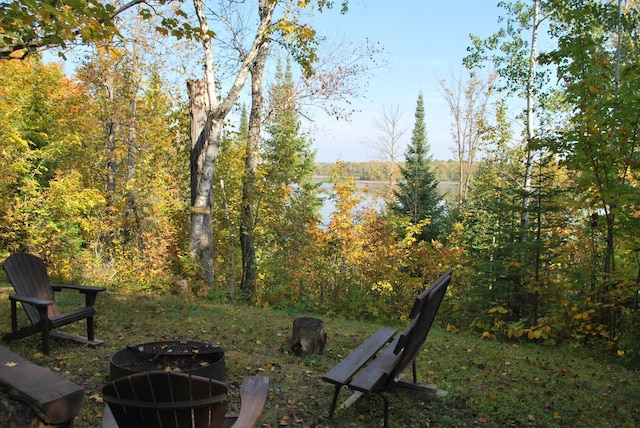 499 Tamarack Ct NE, Tenstrike, MN 56683 - view of property's community featuring a fire pit