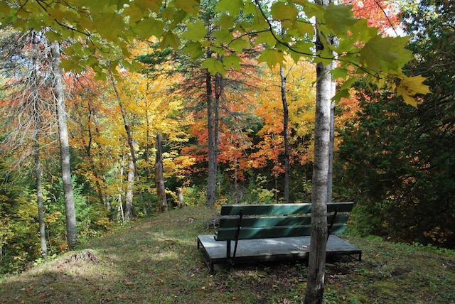499 Tamarack Ct NE, Tenstrike, MN 56683 - view of home's community with a view of trees
