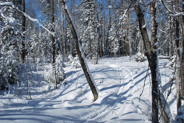 499 Tamarack Ct NE, Tenstrike, MN 56683 - snowy yard with a view of trees