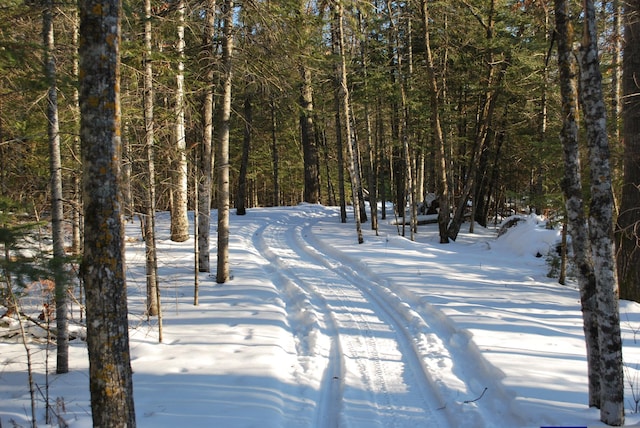 499 Tamarack Ct NE, Tenstrike, MN 56683 - view of home's community featuring a wooded view