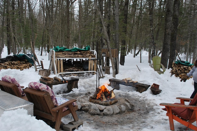 499 Tamarack Ct NE, Tenstrike, MN 56683 - view of yard with an outdoor fire pit