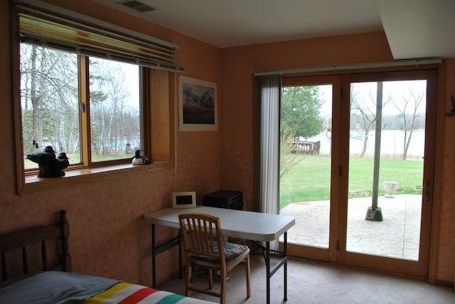 499 Tamarack Ct NE, Tenstrike, MN 56683 - bedroom with a water view, access to exterior, and light colored carpet