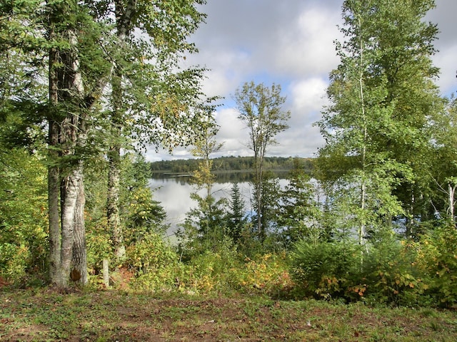499 Tamarack Ct NE, Tenstrike, MN 56683 - photo 56