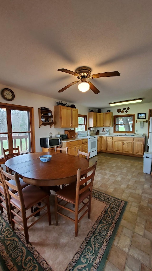 499 Tamarack Ct NE, Tenstrike, MN 56683 - photo 74