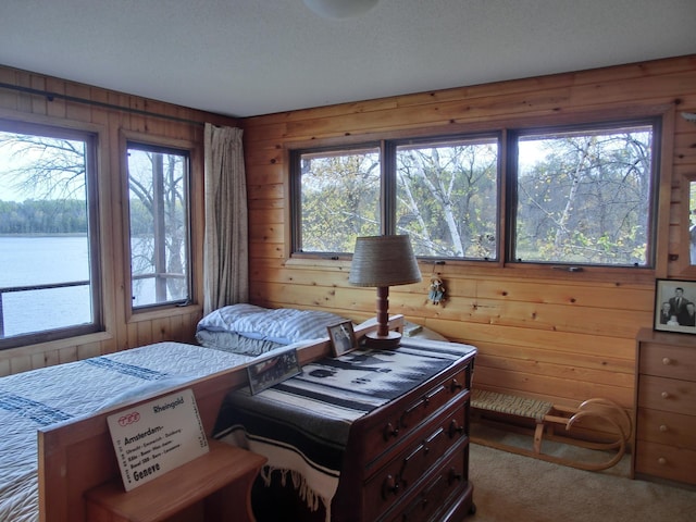 499 Tamarack Ct NE, Tenstrike, MN 56683 - photo 80