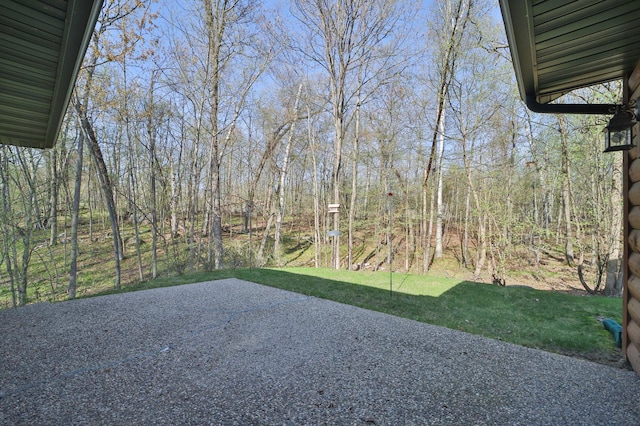 view of grassy yard with a patio