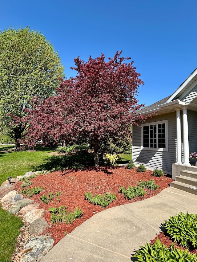 1609 26th St SE, Saint Cloud, MN 56304 - view of yard