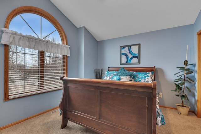 1609 26th St SE, Saint Cloud, MN 56304 - photo 43
