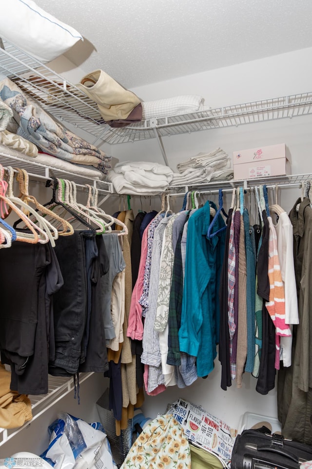 view of walk in closet