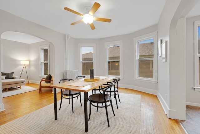 1925 Glenwood Ave, Minneapolis, MN 55405 - dining room with arched walkways, light wood-style flooring, a ceiling fan, and baseboards