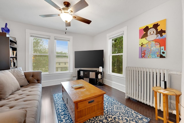 1925 Glenwood Ave, Minneapolis, MN 55405 - living area with radiator, plenty of natural light, dark wood finished floors, and a ceiling fan