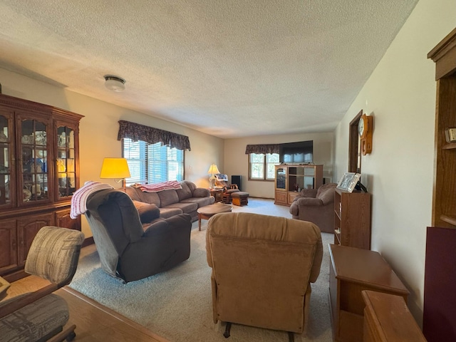 living area featuring a textured ceiling and carpet floors