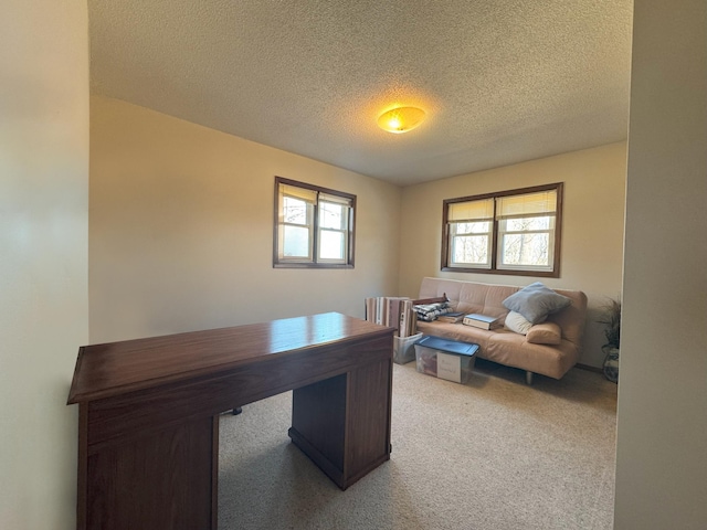 home office featuring a textured ceiling and carpet flooring
