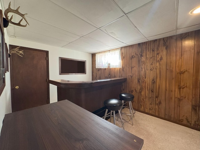 indoor dry bar featuring wooden walls and carpet flooring