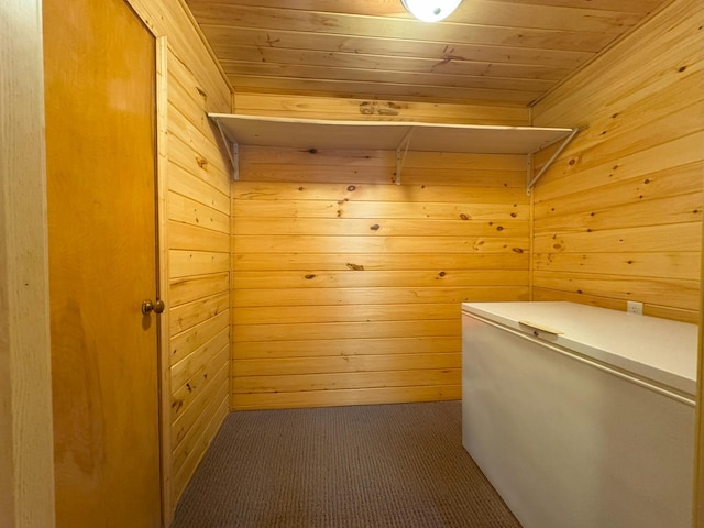 interior space with carpet