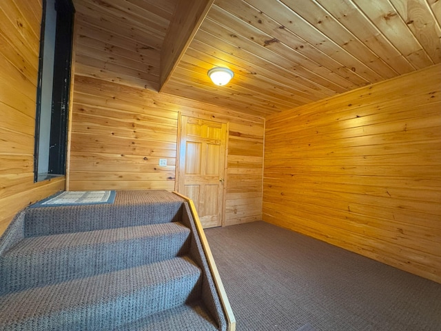 stairs featuring wooden ceiling, wood walls, carpet, and a sauna