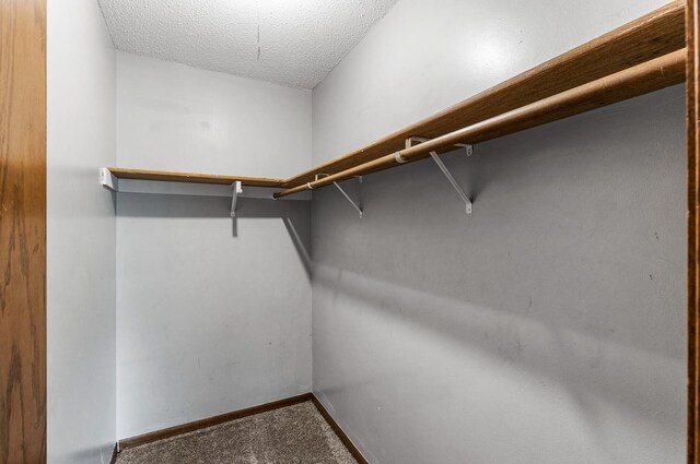 1260 Ferndale St N, Maplewood, MN 55119 - walk in closet with carpet