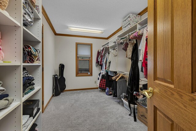 22 13th St S, Sauk Rapids, MN 56379 - walk in closet with light colored carpet