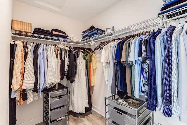 7145 208th Cv N, Forest Lake, MN 55025 - walk in closet with wood finished floors