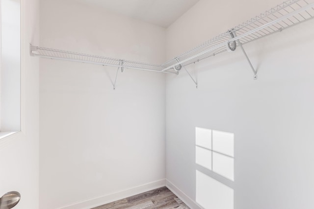 7145 208th Cv N, Forest Lake, MN 55025 - spacious closet featuring light wood-type flooring