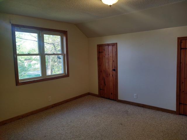 36998 Quest Rd, Hillman, MN 56338 - additional living space with light colored carpet, vaulted ceiling, baseboards, and a textured ceiling
